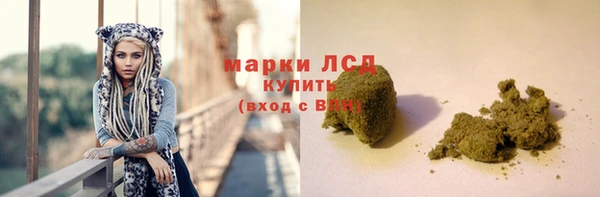 гашик Гусев