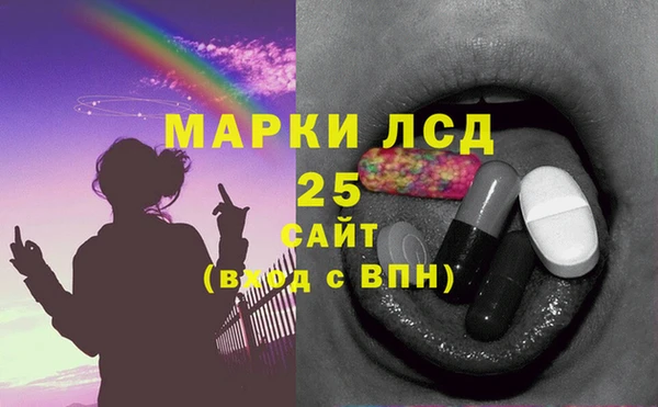 гашик Гусев