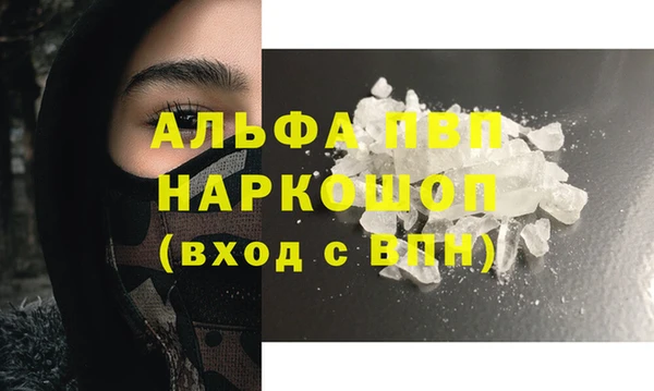 гашик Гусев